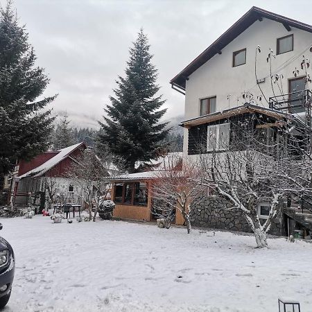 Zoso Home Buşteni Extérieur photo