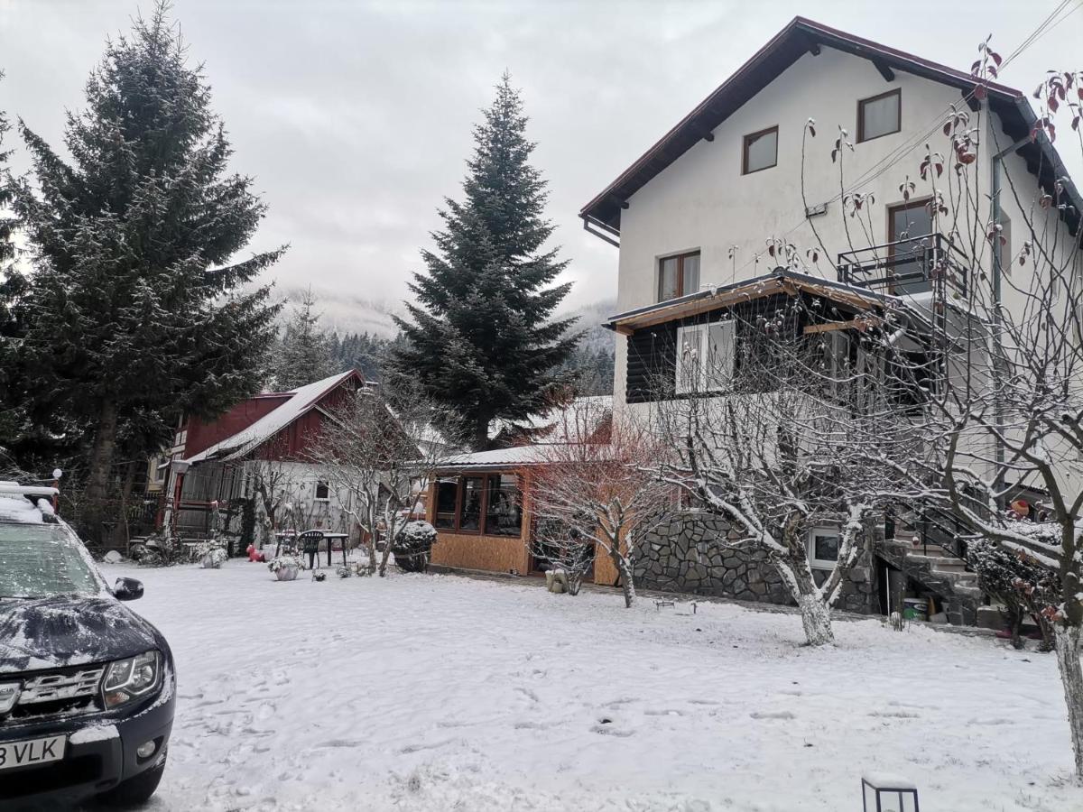 Zoso Home Buşteni Extérieur photo