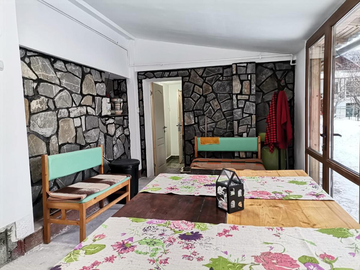 Zoso Home Buşteni Extérieur photo