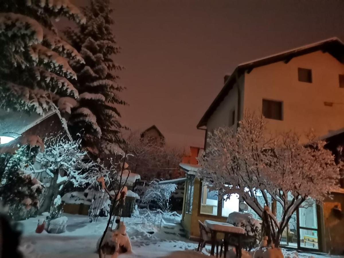 Zoso Home Buşteni Extérieur photo