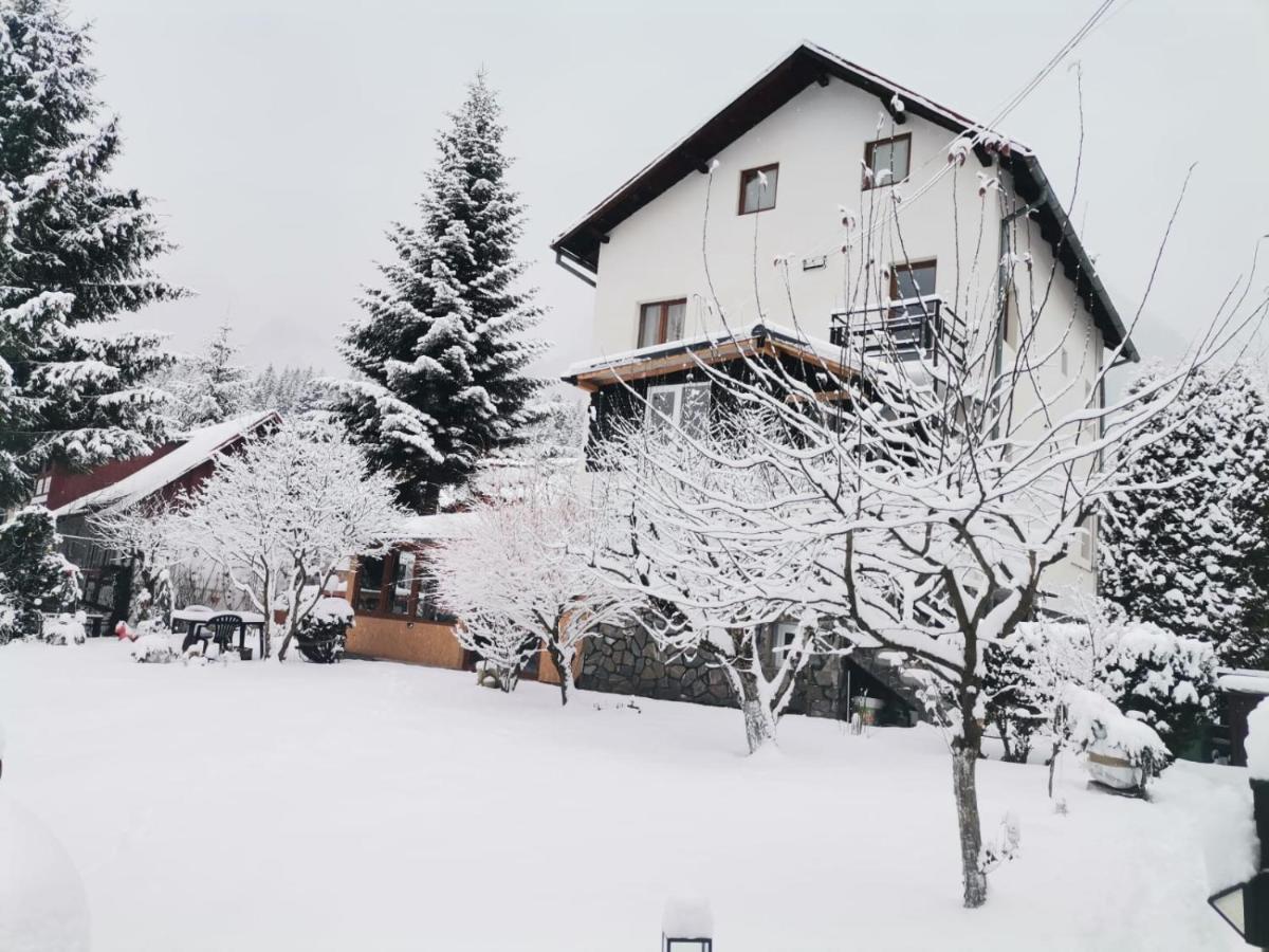 Zoso Home Buşteni Extérieur photo