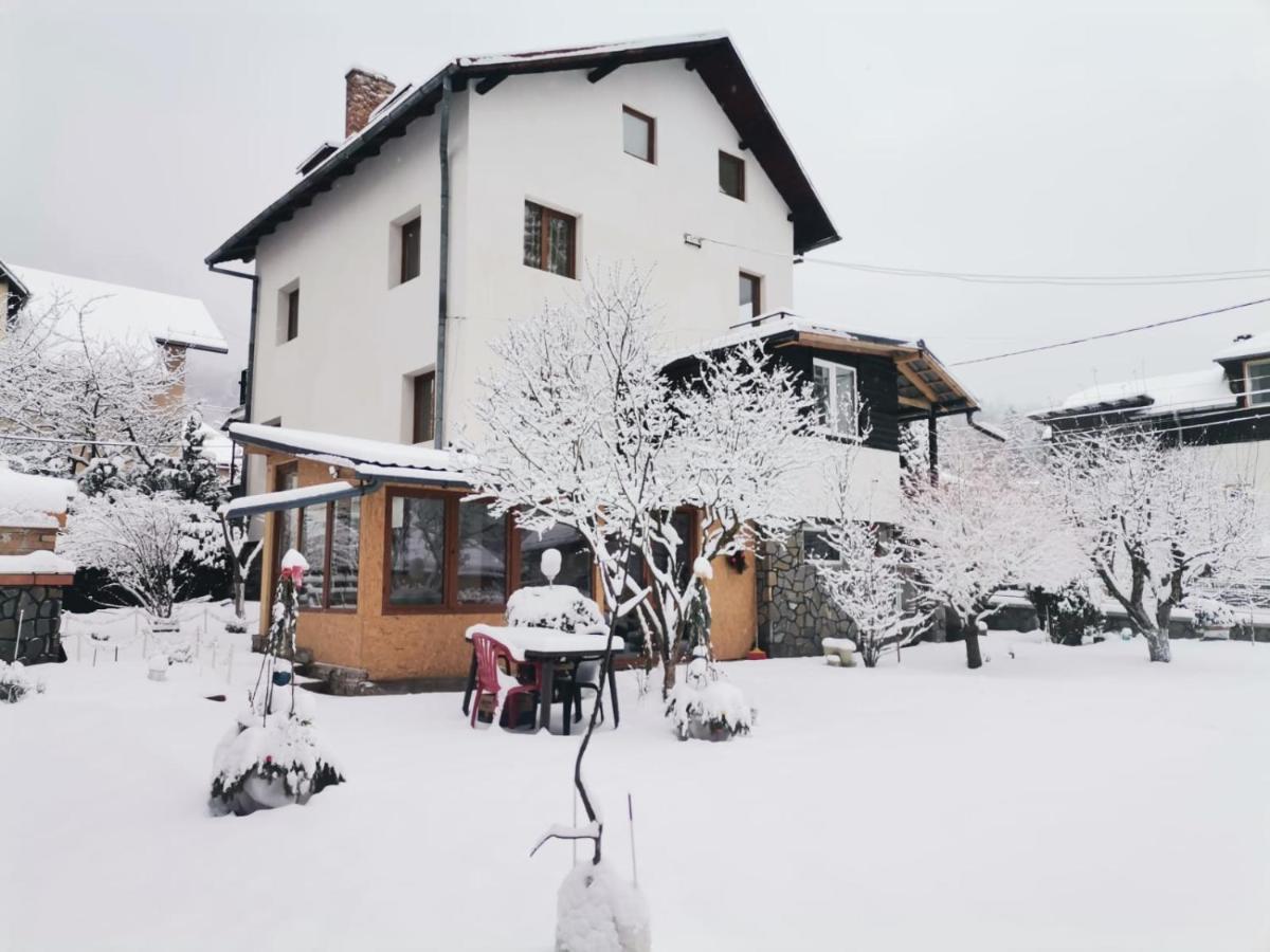 Zoso Home Buşteni Extérieur photo