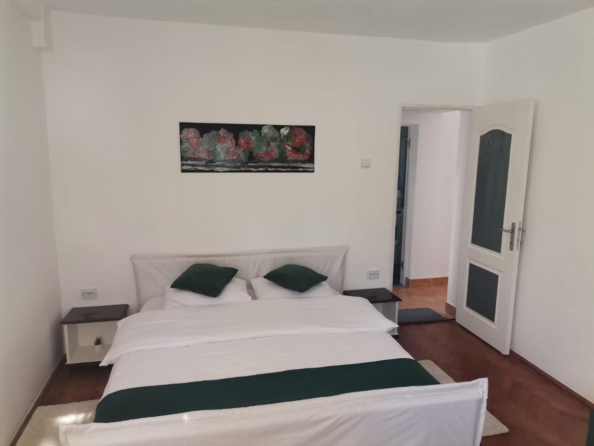 Zoso Home Buşteni Extérieur photo