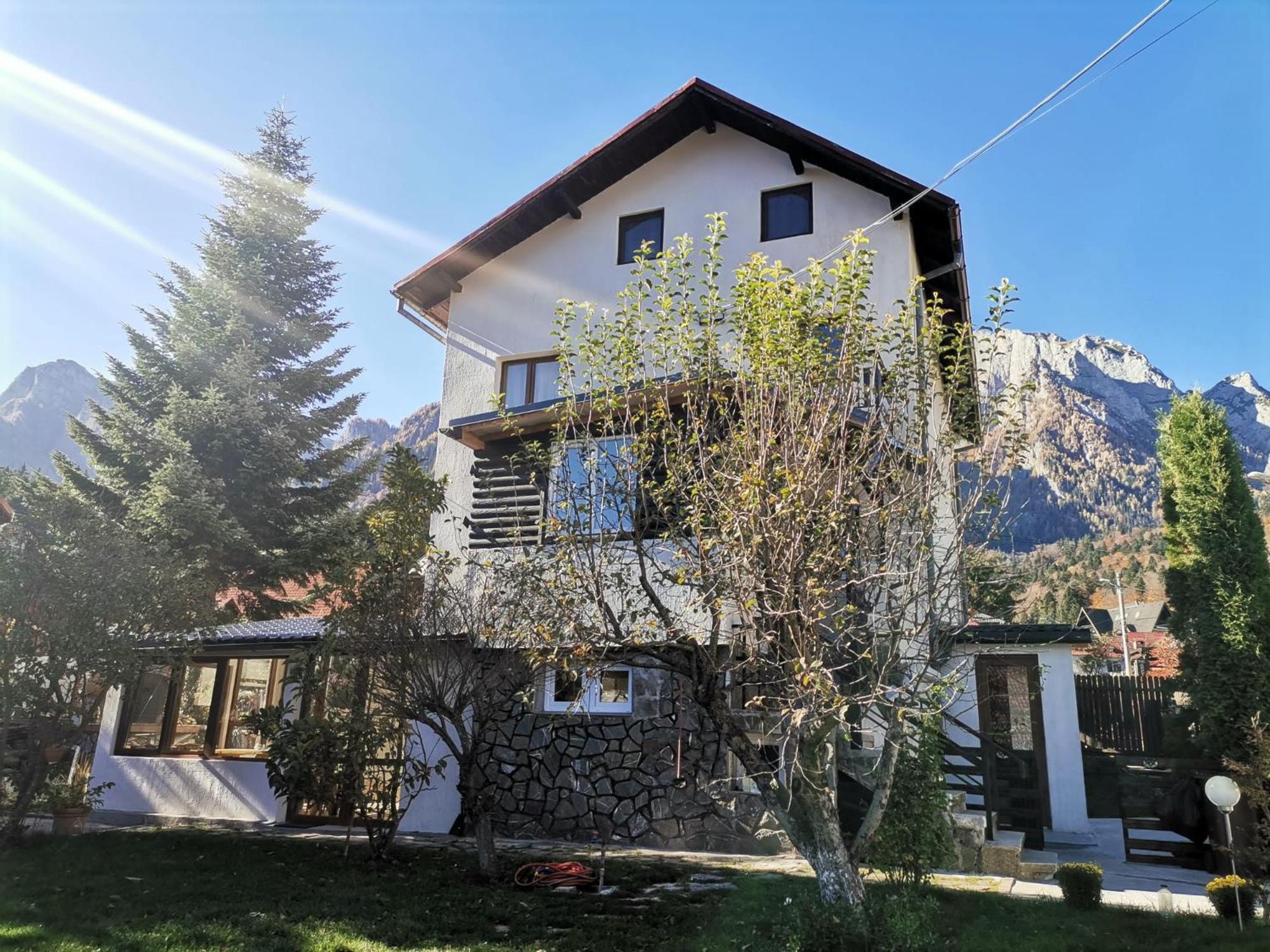 Zoso Home Buşteni Extérieur photo
