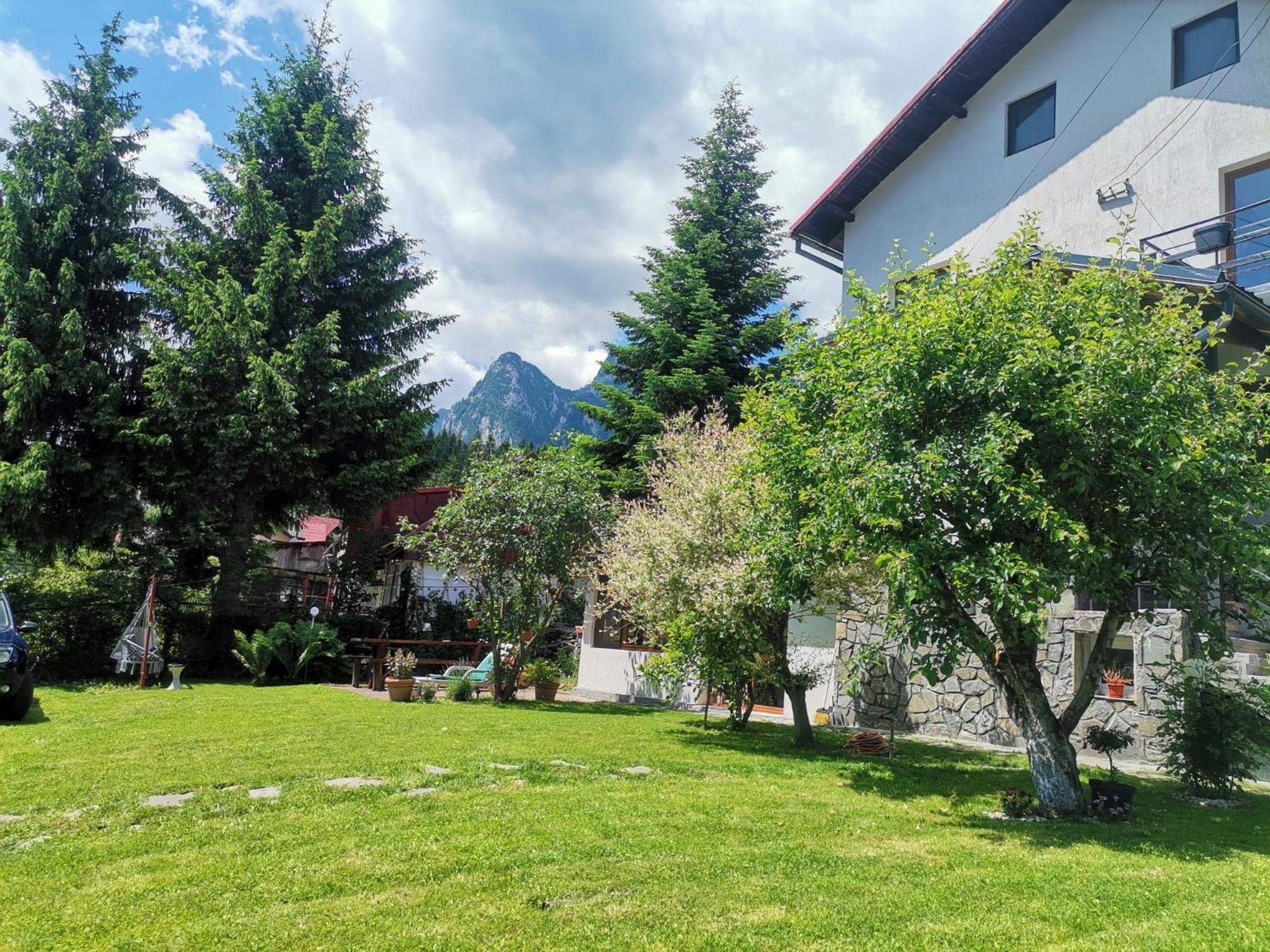 Zoso Home Buşteni Extérieur photo